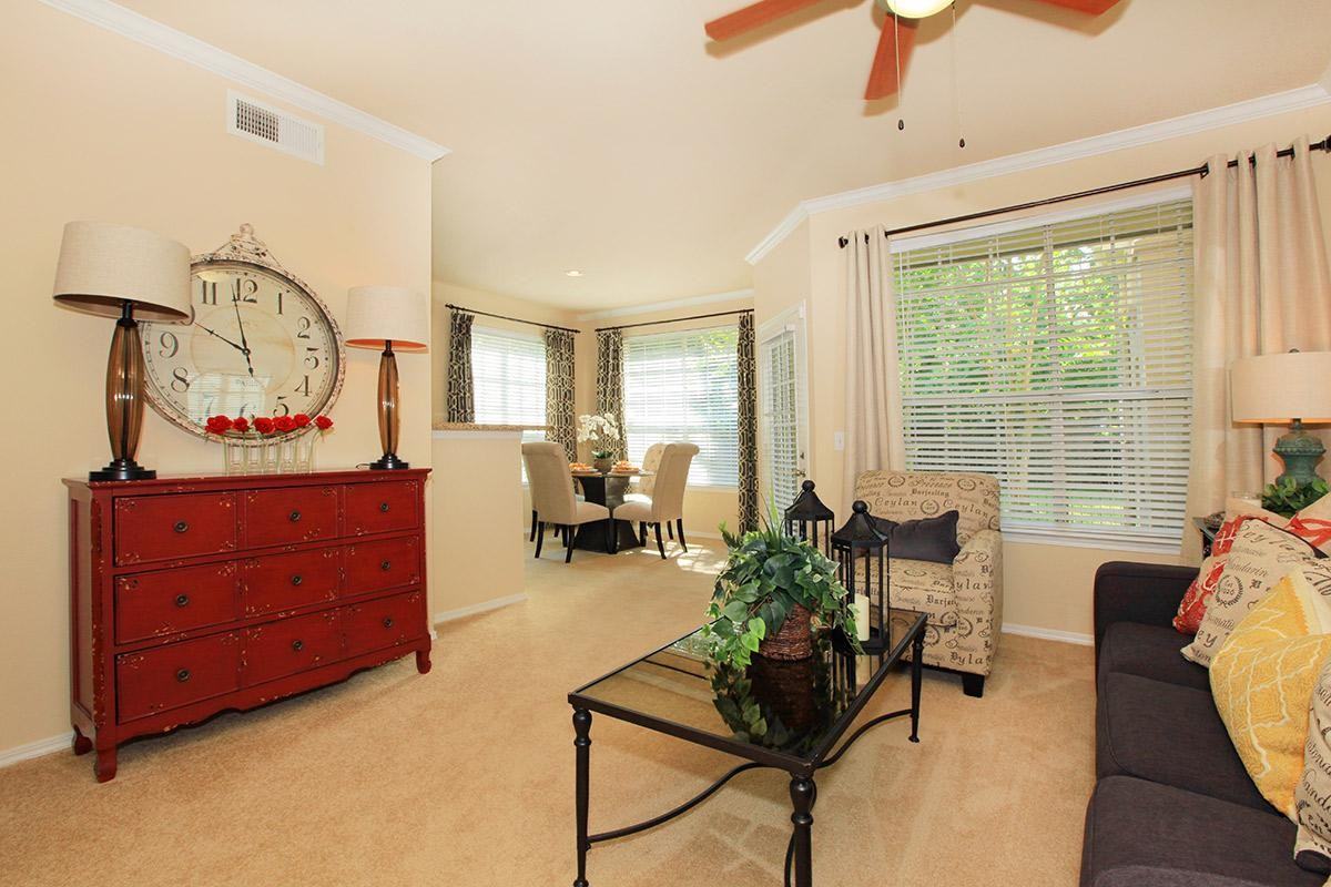 Promenade Champion Forest - Photo 3 of 38