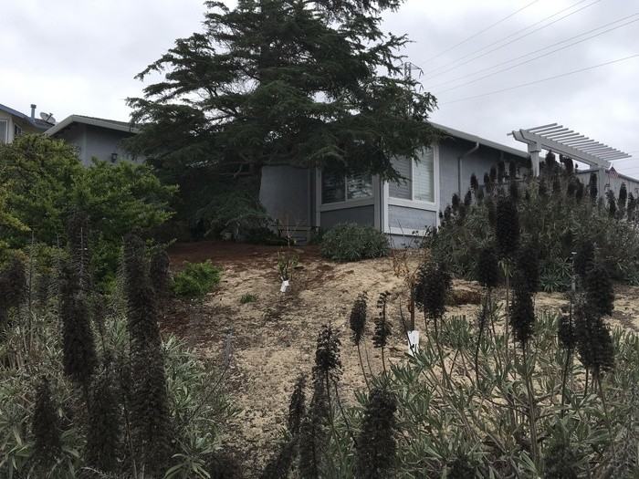 1250 Mescal St - Photo 2 of 11