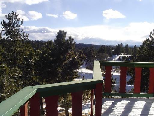 1302 Twin Lakes Dr - Photo 2 of 7