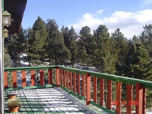 1302 Twin Lakes Dr - Photo 3 of 7