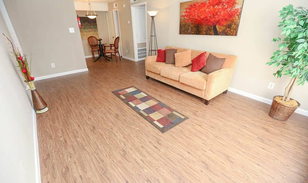 One Pine - Photo 2 of 11