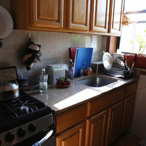 14 Maujer Street #17