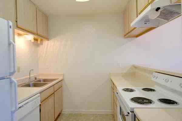 Park Shadows Apartments 7200 Shadyvilla Lane, Houston, TX 77055 Zumper