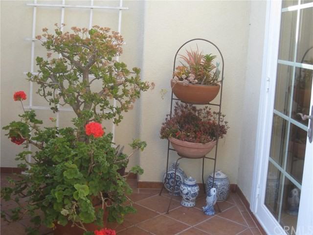 2200 Vista Huerta - Photo 2 of 20