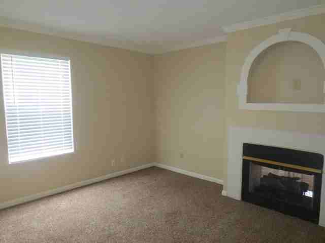 312 Marjoram Dr - Photo 3 of 15