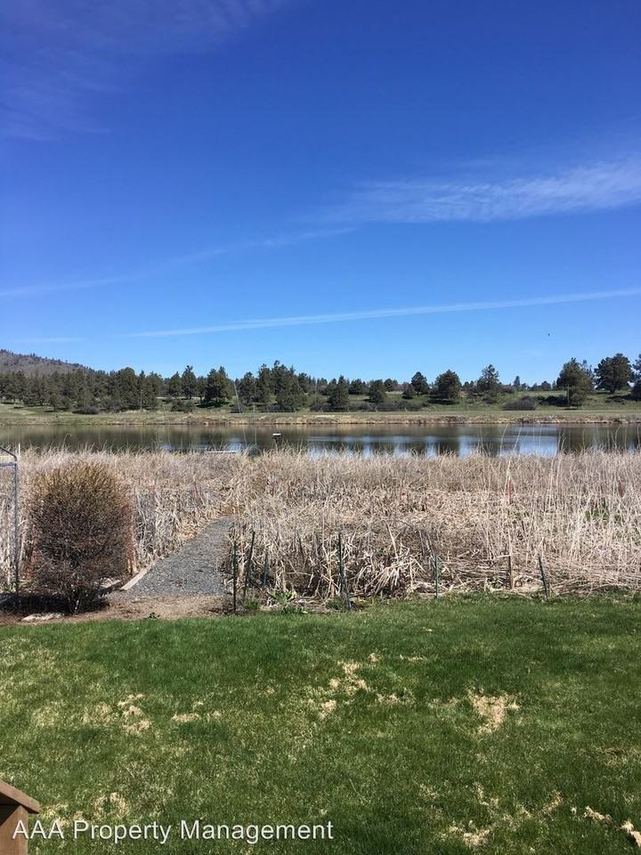 11253 White Goose Dr - Photo 3 of 12