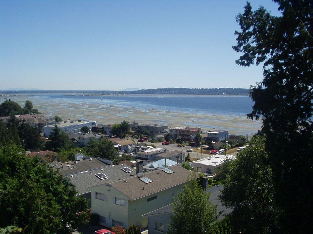 15548 Royal Ave - Photo 2 of 5