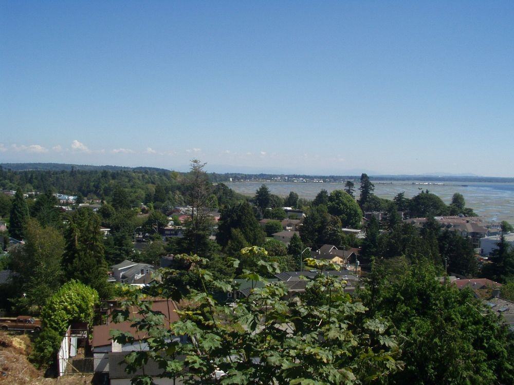 15548 Royal Ave - Photo 3 of 5