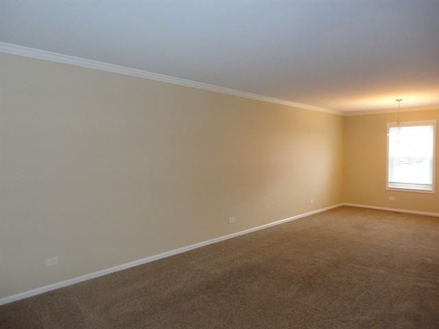 433 Prairie Valley St - Photo 3 of 28