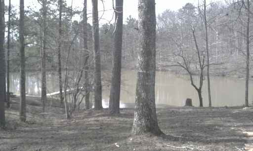 1096 Boone Rd - Photo 3 of 13