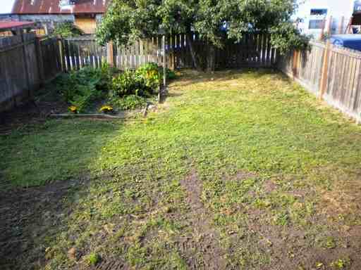 713 Wilson Ave - Photo 2 of 3