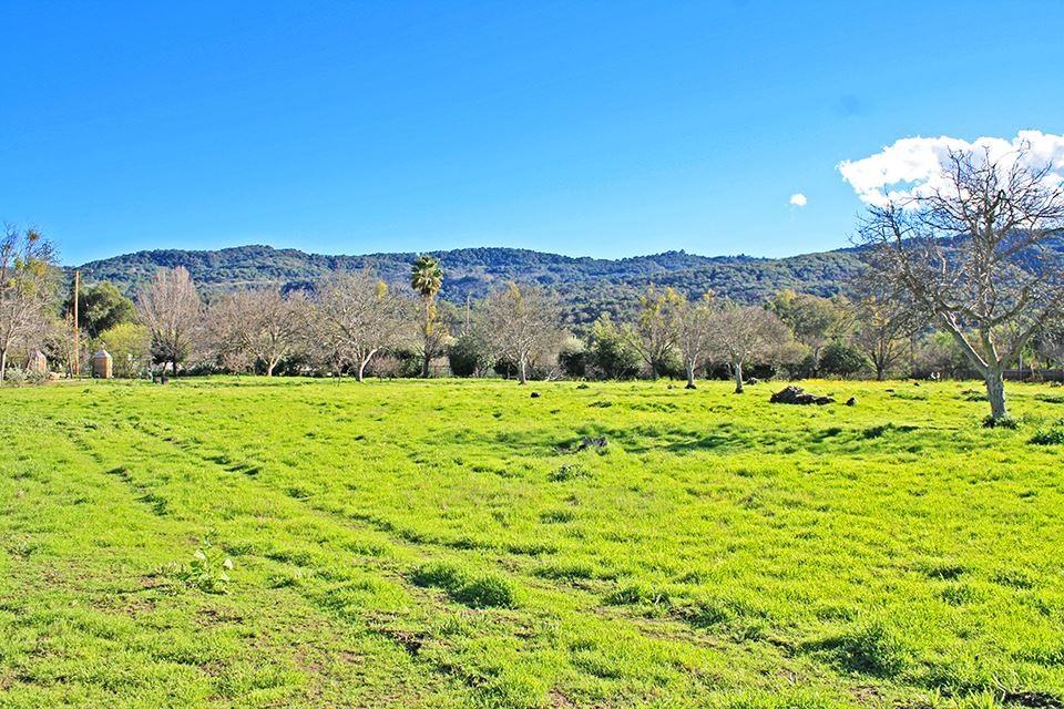 10075 N Ojai Rd - Photo 3 of 13