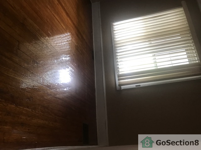 317 Berwyn Ave - Photo 3 of 10