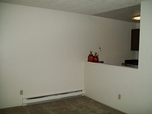 Willow Lake - Photo 3 of 15