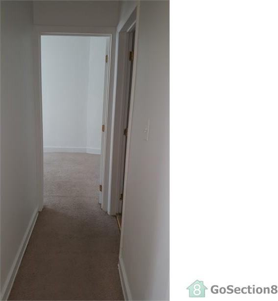 2000 W Pratt St #2A - Photo 3 of 5