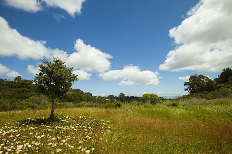 2816 Hallmark Dr - Photo 2 of 15