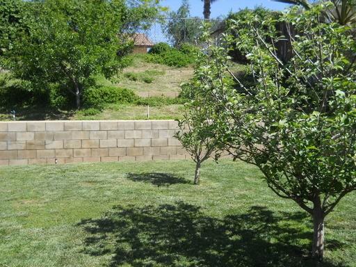 24792 Enchanted Way - Photo 3 of 7