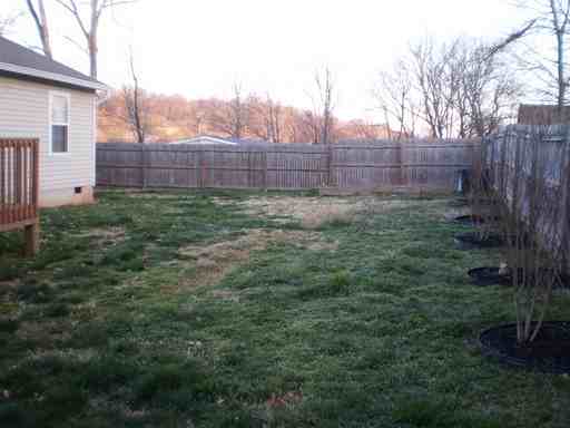 426 Haywood Ave - Photo 3 of 15