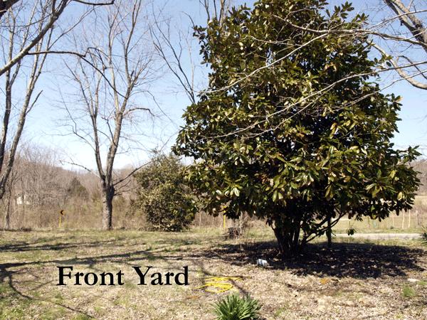 6009 Buck Mountain Rd - Photo 3 of 26