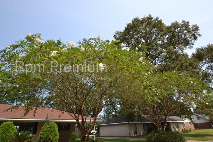 8073 Franwood Dr - Photo 2 of 34