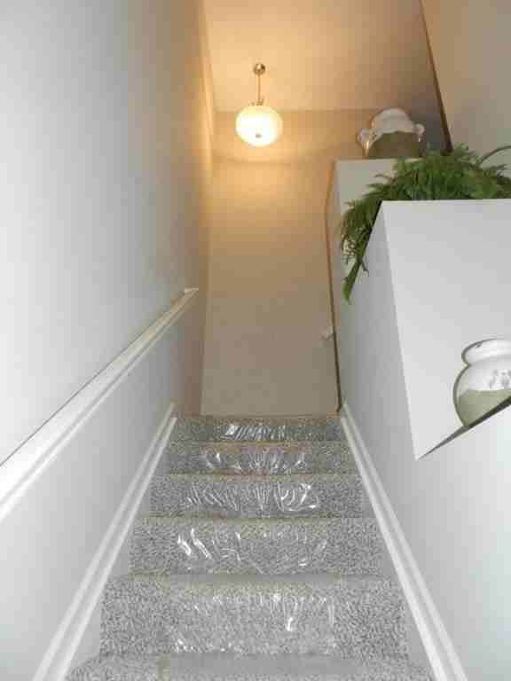 3559 Evelynton Avenue - Photo 2 of 20