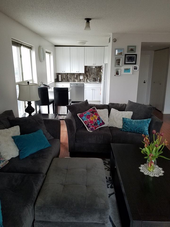1212 North LaSalle Drive #809
