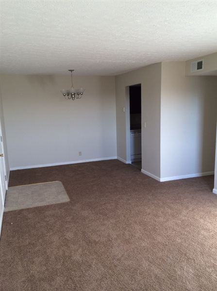 1403 Steadmantown Lane - Photo 3 of 16
