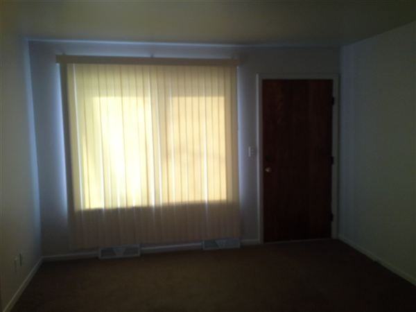 W.DRAHNER ROAD 1/4 MILE WEST OF M 24 (LAPEER) - Photo 3 of 10