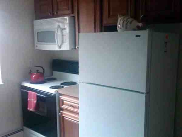 Seaford Oyster Bay Expressway - Photo 3 of 5