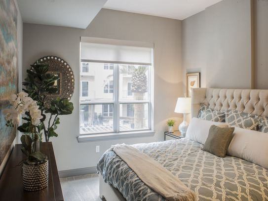 4787 Minutes From D/T, Museum District And Texas Medical Center