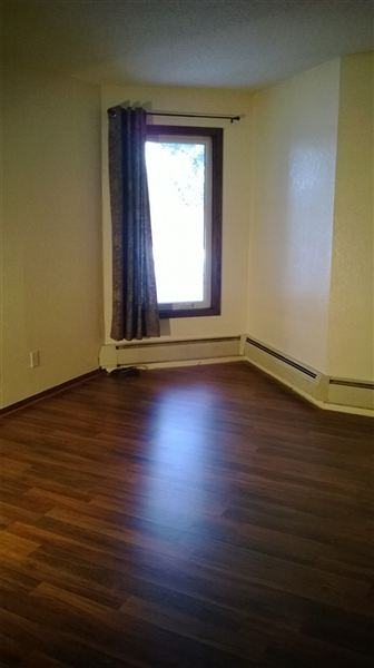 Yankee Doodle - Photo 2 of 8