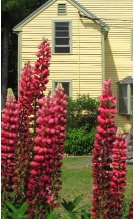 2 Beech Hill Rd - Photo 2 of 12