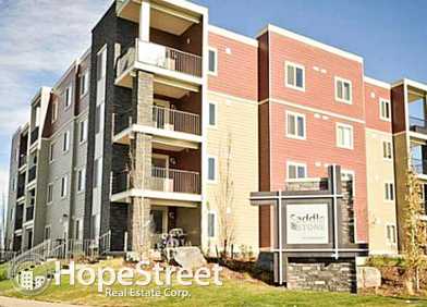 15 Saddlestone Way Ne Apartments For Rent Rentals 15 Saddleridge Close Ne Calgary Ab T3j 4x1 Zumper