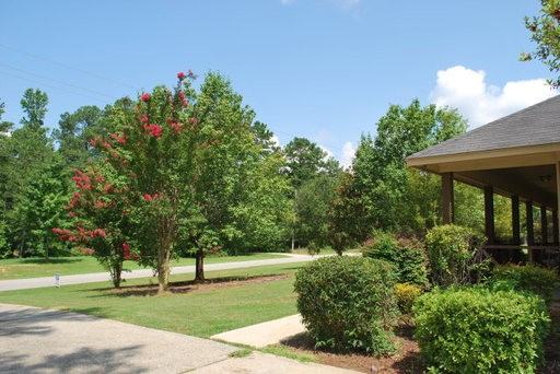 177 Hunter Rd - Photo 3 of 15