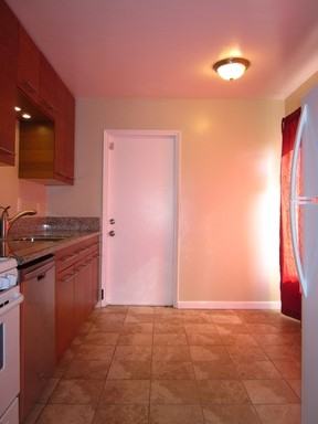 4791 Cereza St - Photo 3 of 14