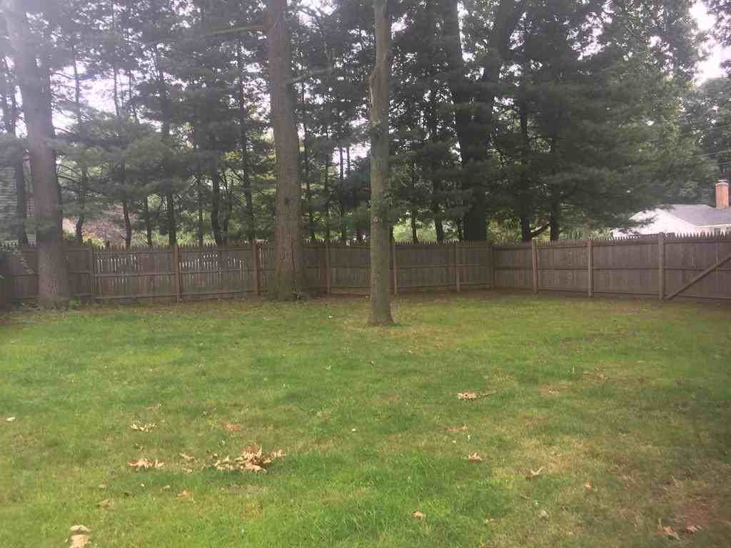 113 Fairview St - Photo 3 of 15