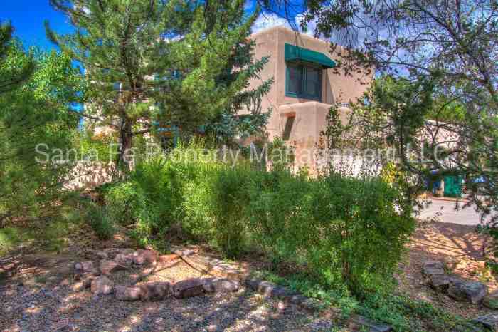 2965 Camino Piedra Lumbre - Photo 2 of 37