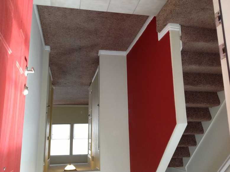 14240 Daisyfield Dr - Photo 2 of 21