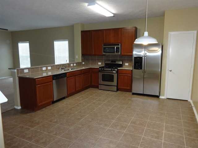 119 Paleos Flint Dr - Photo 3 of 14