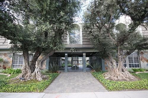 6141 Orange Ave - Photo 3 of 11