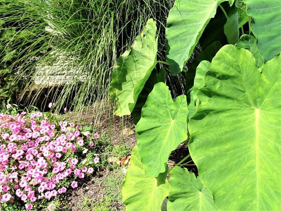 123 Wintersville Rd - Photo 2 of 22