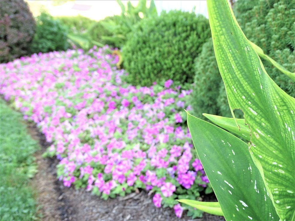 108 N Churchtown Rd - Photo 2 of 30