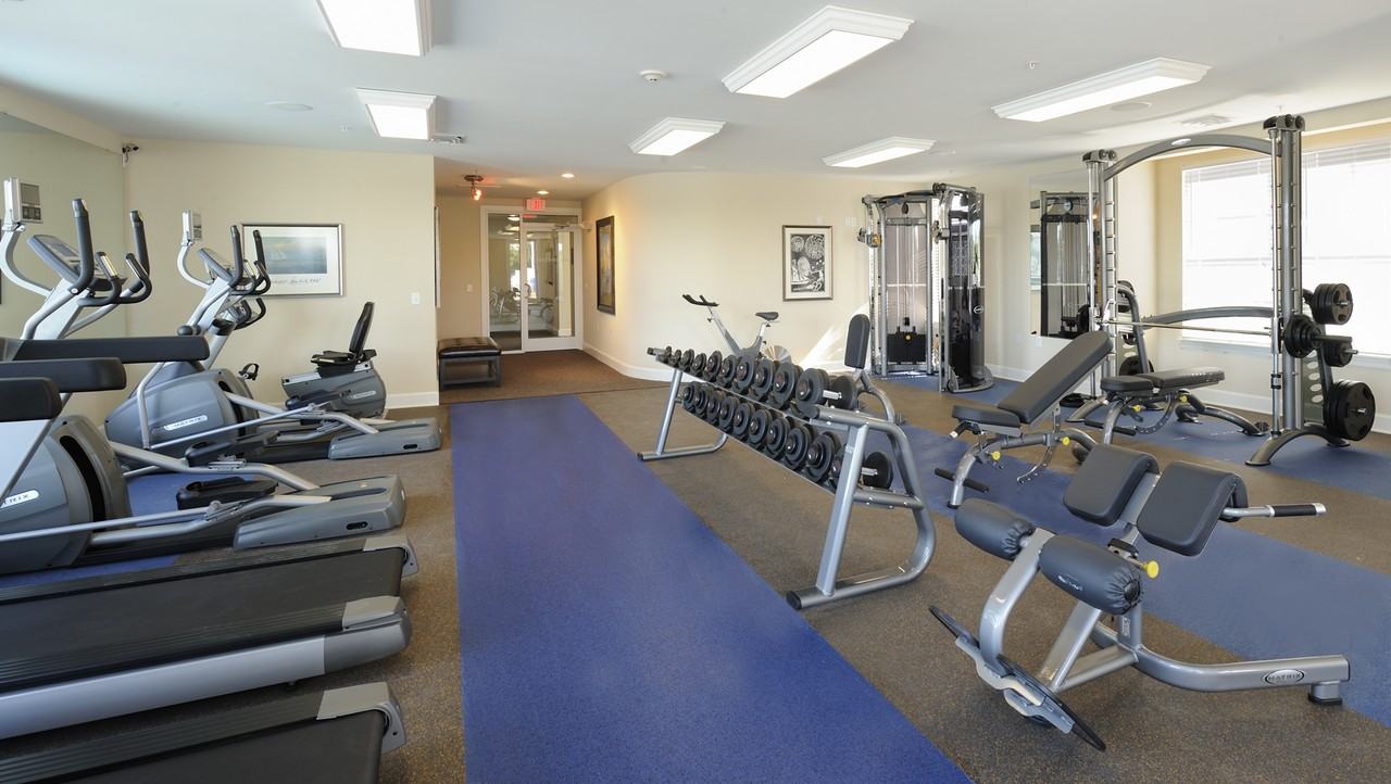 River House - Photo 4 of 8