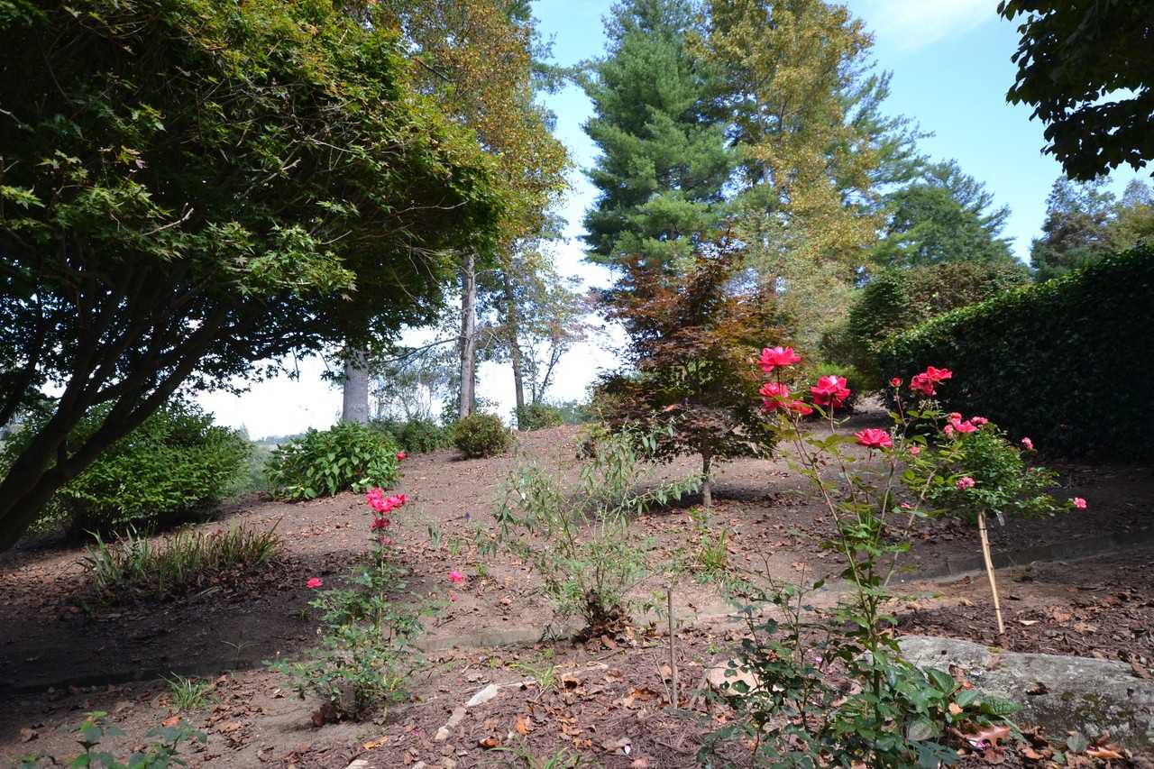 1080 Linkside Dr - Photo 2 of 20