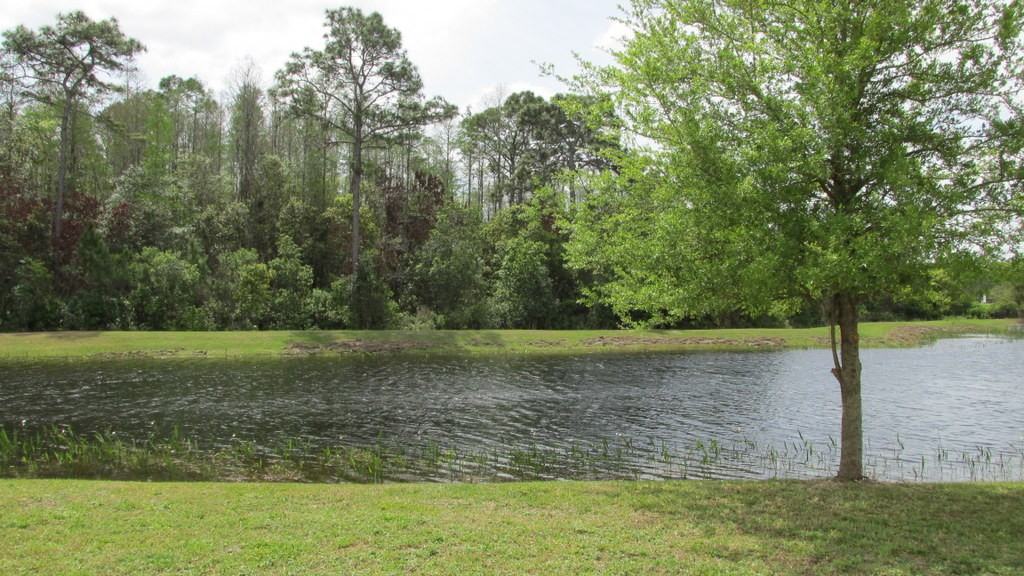 13806 Royston Bend - Photo 3 of 16