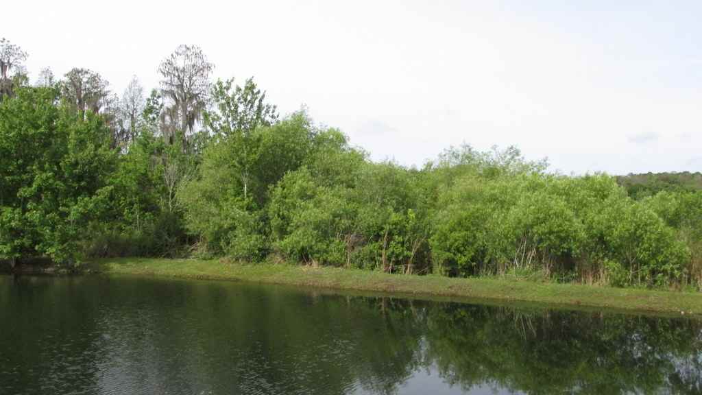 2942 Mingo Dr - Photo 3 of 16