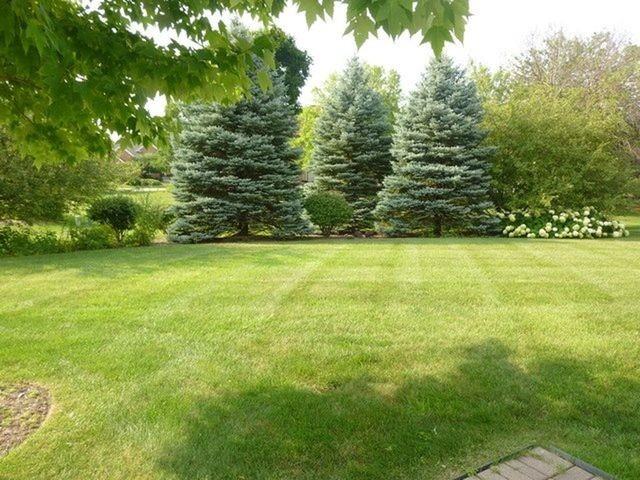 305 Cobblestone Ct - Photo 2 of 22