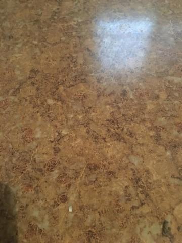 1636 W 55th St #1 - Photo 2 of 8