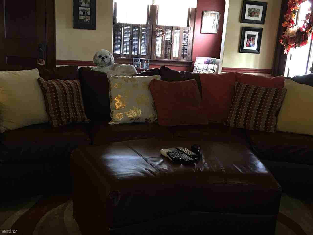 931 Dekalb Ave - Photo 3 of 19