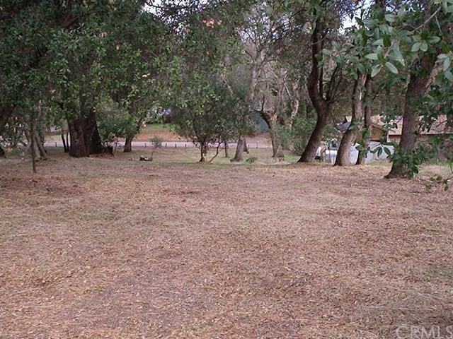 14365 Burns Valley Rd - Photo 3 of 17